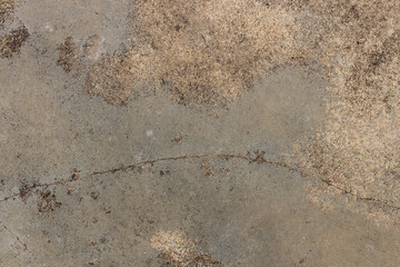 stone wall texture with crack