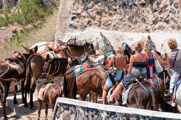 Rear view of a group of tourists on transport donkeys in summer on the island of Santorini Greece