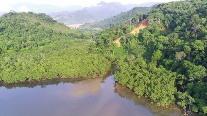 Mangue em Angra dos Reis