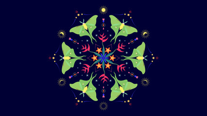 Luna Moth Design, Graphic Ornamental Kaleidoscope, Botanical Mandala, Astronomy Moon, Vector Illustration, Ideas For Packaging Design, Geometric Tropical Wildlife - obrazy, fototapety, plakaty