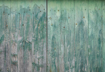 Wooden background made of grey wood covered with green paint. Wooden plank old gates.