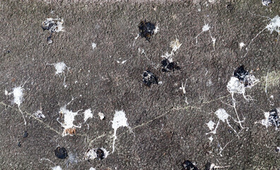 Lots of bird poop on asphalt concrete road background.