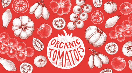 Tomatoes sketch hand drawn illustration. Organic tomato design template. Vector illustration. Healthy food frame. Ketchup package design elements. Tomato vegetable.