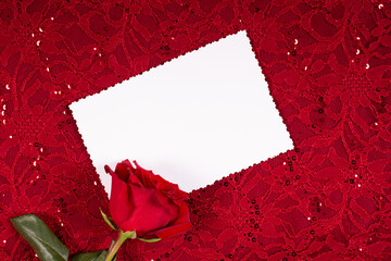 Bright red background with a lace pattern and a postcard for text