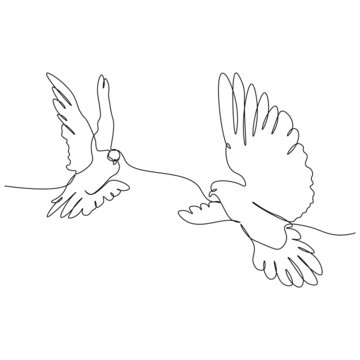 Continuous linear drawing of a dove, a symbol of love and peace. Vector illustration...