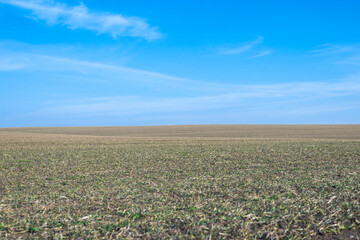 Ploughed field and blue sky as background.