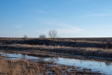 View of swamp. Polluted river.