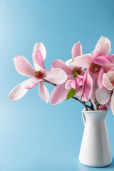Pink magnolia flowers bouquet in vase on blue background. Spring holiday concept