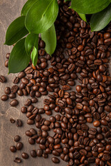 coffee beans and green leaves from above