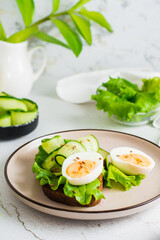 Ready to eat sandwich with rye bread, lettuce, cucumber, boiled egg and flax seeds on a plate on the table. Healthy eating on a diet. Vertical view