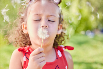 I wish... summer would stay a little longer. Shot of an adorable little girl blowing a dandelion while sitting at the park.
