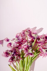 Creative layout made of red weathered tulip flowers and wilted petals. Flat lay. Nature concept. Floral greeting card. Colorful spring flower background. Trendy decorative design layout..