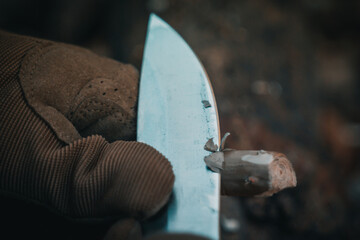 Bushcraft im Wald. Outdoor Kochen im Wald