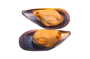 mussels isolated