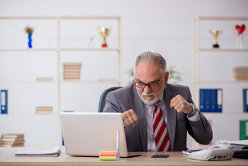 Old male employee working in the office