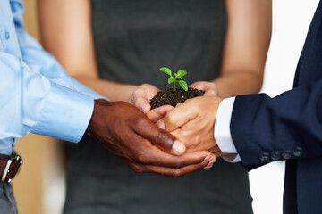 We all have the potential for growth. Closeup shot of a group of businesspeople holding a plant...