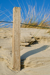 Strand und Dünen