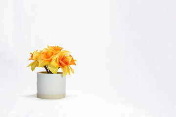 Closeup of a cute yellow flowers plant in pot, on white background with copy space.