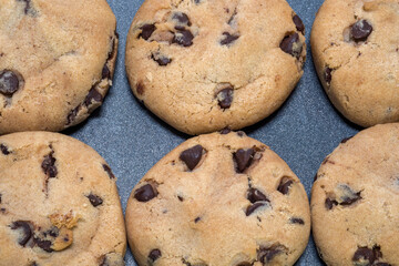 Closeup of a view from above of several chocolate chip cookies.