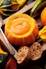 Pumpkin cream soup, squashes and pumpkins