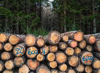 billes de bois empillées