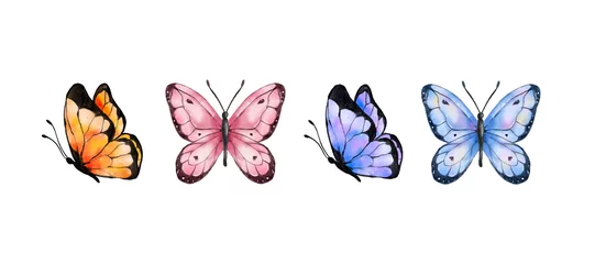 Tuinposter Colorful butterflies watercolor isolated on white background. Blue, orange, purple and pink butterfly. Spring animal vector illustration © ABC Vector