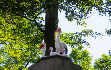 Storchennest in Stadtpark Freiberg 