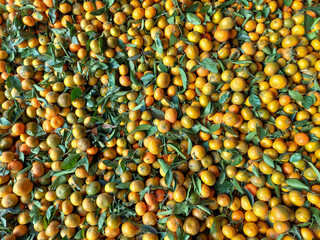 background of lentils