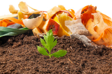 organic compost - biodegradable kitchen waste and soil