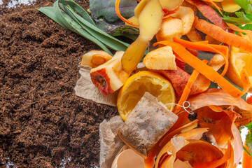 organic compost - biodegradable kitchen waste and soil