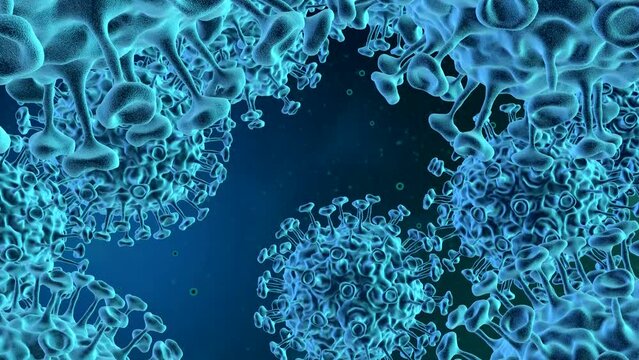 Microscopic view of infectious SARS-CoV-2 omicron arcturus virus cells. Coronavirus disease COVID-19 outbreak. 3D endless loop animation