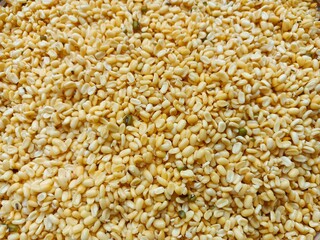 Yellow moong dal or mung daal beans, green gram