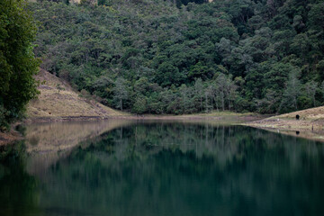 Fototapeta na wymiar Laguna verde Cundinamarca Colombia 