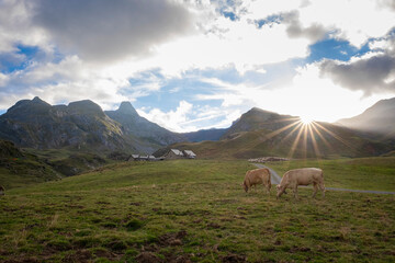 a farm at the foot of a mountain in the French Pyrenees, with a path leading to it, two cows grazing on one side and the sun setting between the mountains in the background