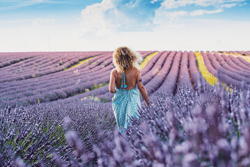 Travel wanderlust lifestyle people concept. Back view portrait of woman walking in lavender field...