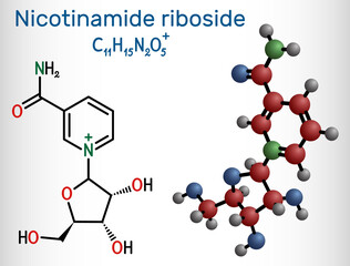 Nicotinamide riboside, NR, SR647 molecule. It is N-glycosylnicotinamide, pyridine nucleoside similar to vitamin B3. Structural chemical formula and molecule model.