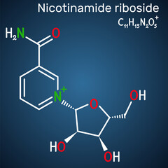 Nicotinamide riboside, NR, SR647 molecule. It is N-glycosylnicotinamide, pyridine nucleoside similar to vitamin B3. Structural chemical formula on the dark blue background