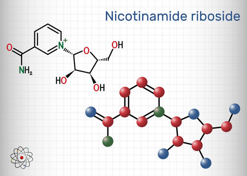 Nicotinamide riboside, NR, SR647 molecule. It is N-glycosylnicotinamide, pyridine nucleoside similar to vitamin B3. Structural chemical formula, molecule model. Sheet of paper in a cage
