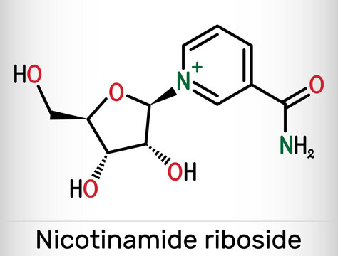 Nicotinamide riboside, NR, SR647 molecule. It is N-glycosylnicotinamide, pyridine nucleoside similar to vitamin B3. Skeletal chemical formula