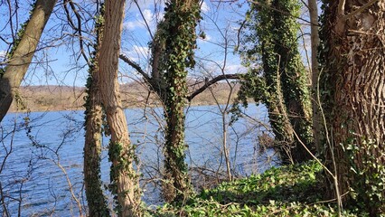 Grötzingen Baggersee