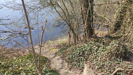 Oberwald Karlsruhe See