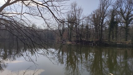 Oberwald Karlsruhe See