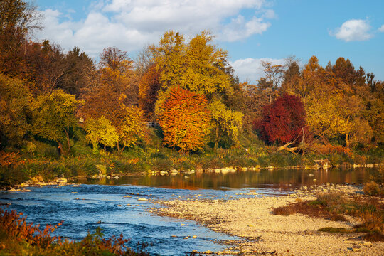 picture of autumn trees over the river