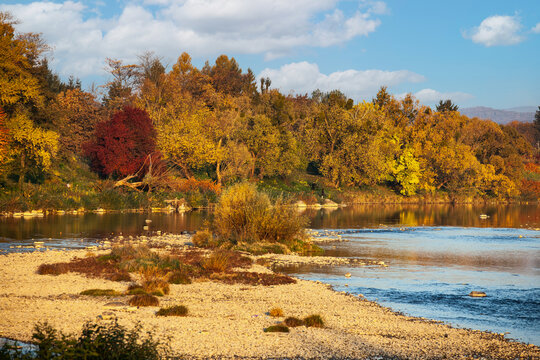 picture of autumn trees over the river