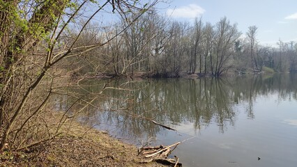 Oberwald Karlsruhe See