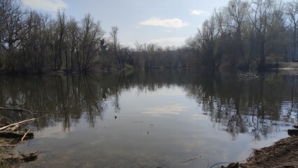 Oberwald Karlsruhe See