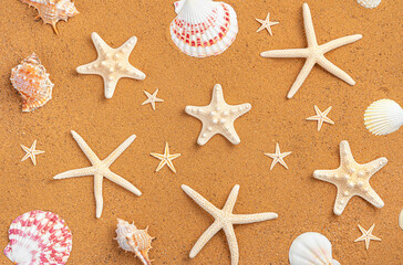 Starfish of different shapes and shells on the sand.