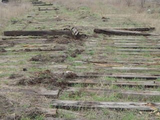 Wooden sleepers.
Old destroyed railway tracks.
- 493820158