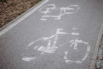 Droga rowerowa i rowerzyści - obrazy, fototapety, plakaty