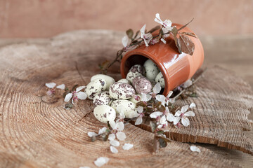 Spring still life with quail eggs and flowers. Easter background